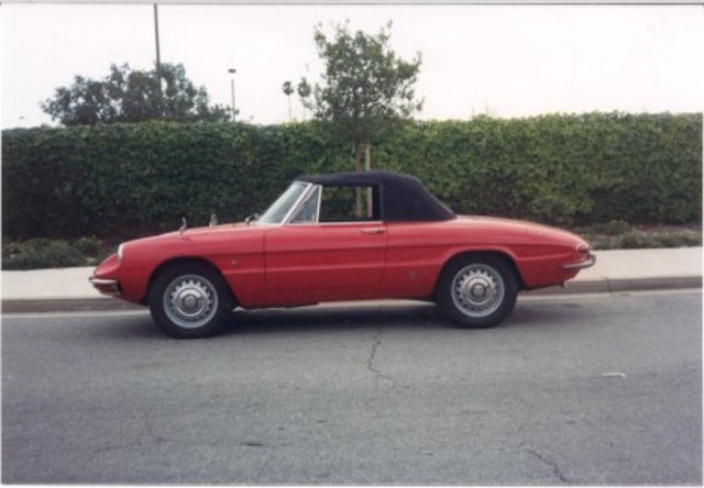                         alfa romeo duetto spider ar664323
            